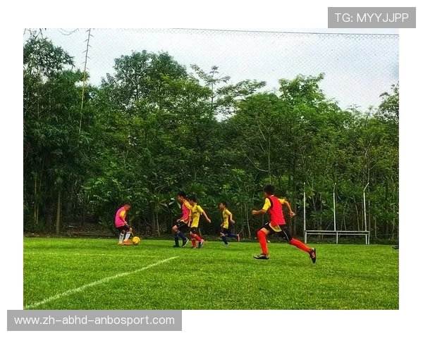 足球历史档案整理对维护俱乐部文化传承和研究价值有何具体贡献